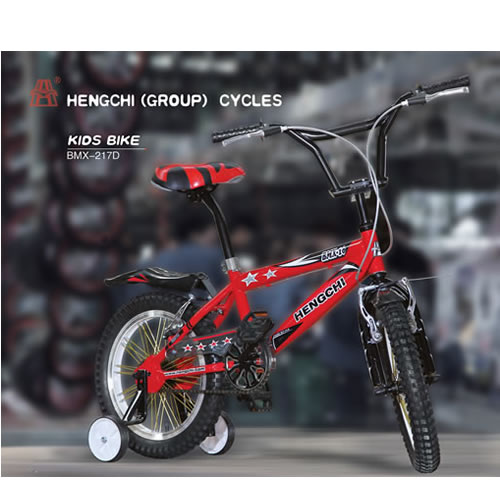 KIDS  BIKE   BMX -217D